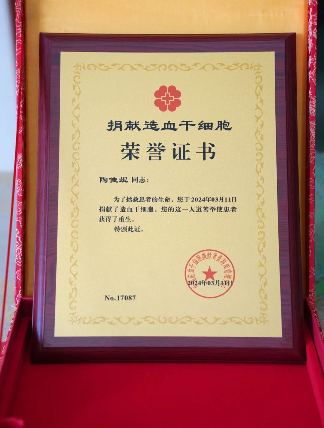 "奉城95后女孩成功捐献造血干细胞→_澎湃号·政务_澎湃新闻-the