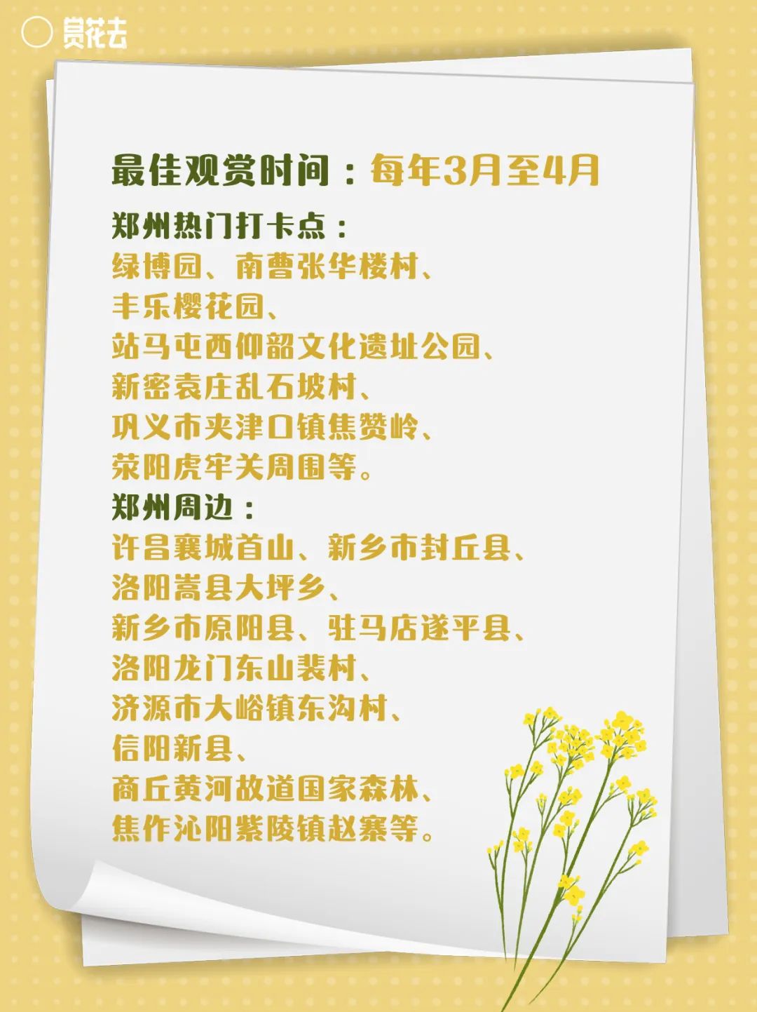 春天:送你一朵油菜花!_澎湃号·政务_澎湃新闻-the paper