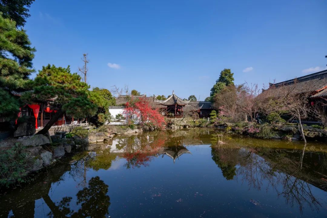 盆景艺术馆依托三邑园林"三廊四馆五园"优化布局盆景展陈空间提升