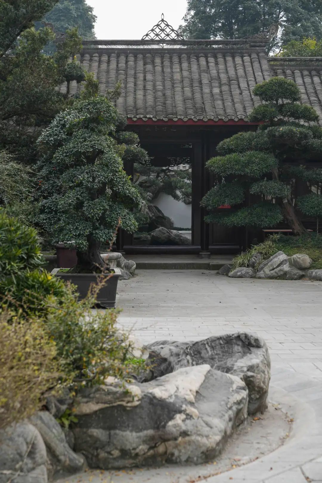 盆景艺术馆依托三邑园林"三廊四馆五园"优化布局盆景展陈空间提升