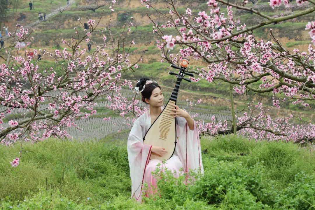 又美又甜 快来古田——第三届宁德市古田县际面村桃花节成功举办_澎湃