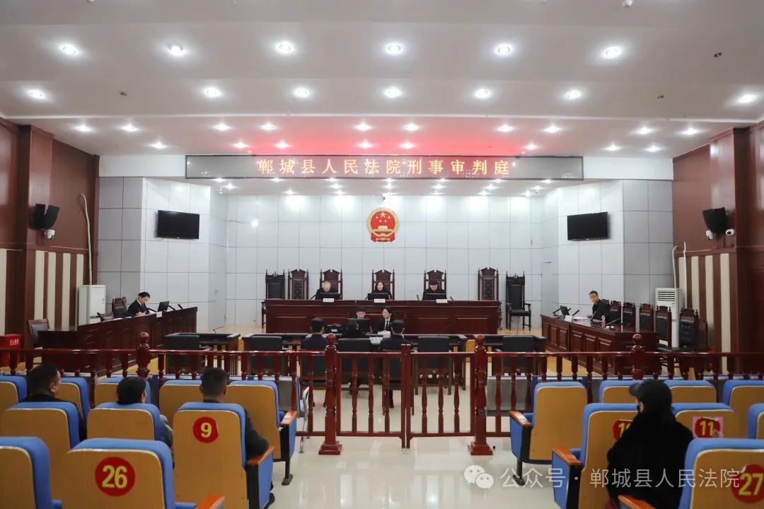 本案是一起严重污染环境的刑事案件,由郸城法院刑事庭庭长李冰担任