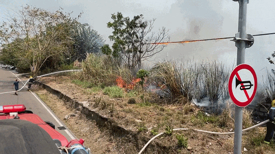 森林草原防灭火莫要引火烧身森林草原防灭火安全提示