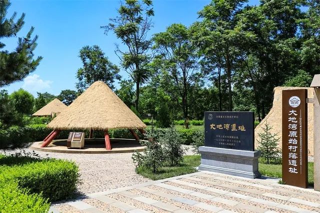 玉兰花开 莫负天水好春光_澎湃号·政务_澎湃新闻-the paper