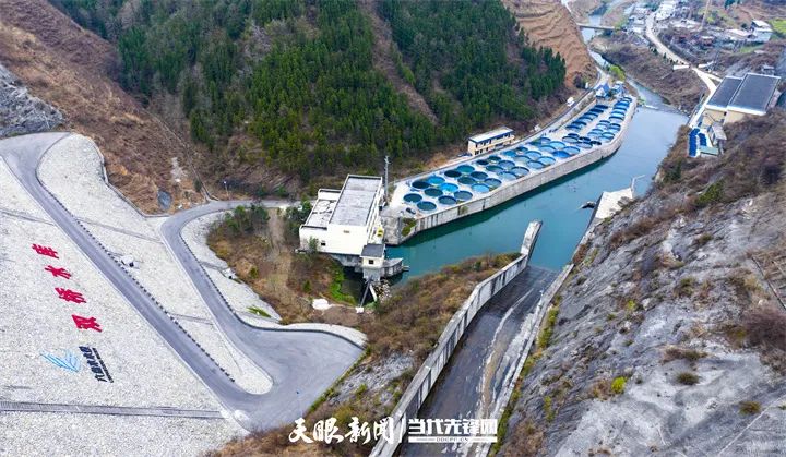 渔歌唱"晚"|六盘水冷水鱼产业跑出逆袭之路_澎湃号