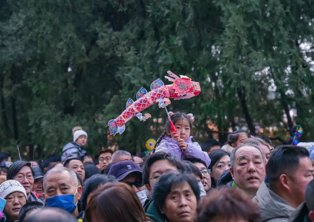 山东东营 马嘶