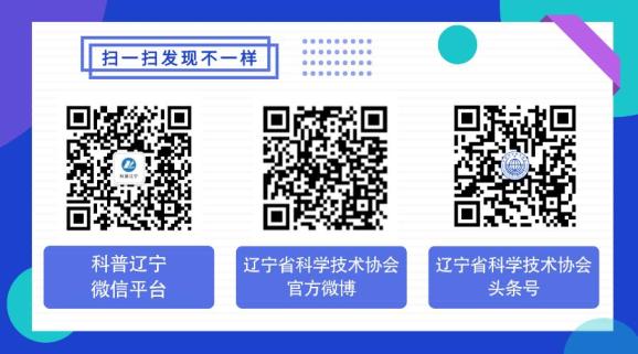 一图读懂丨贯彻实施《国家标准化发展纲要》行动计划(2024—2025年)_澎湃号·政务_澎湃新闻-The Paper