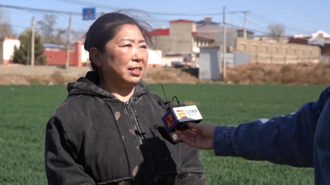 在曲阳桥村种植大户安俊平流转的千亩小麦田里,农机手正驾驶着大型自