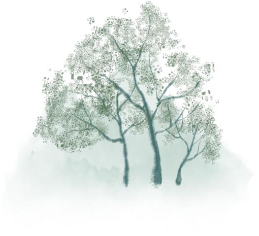 最高25东台入春ing