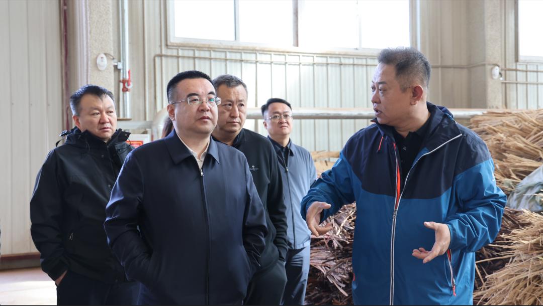 乔小军到蒙苏经济开发区和临港经济区综合保税区调研