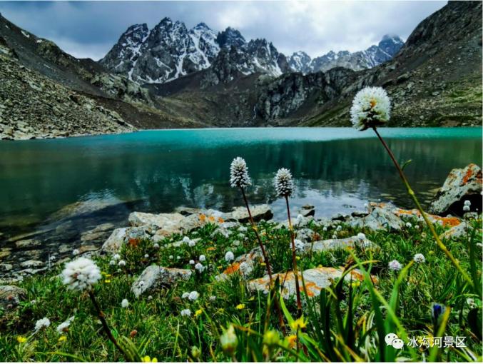 下一站,武威宠你!_澎湃号·政务_澎湃新闻-the paper