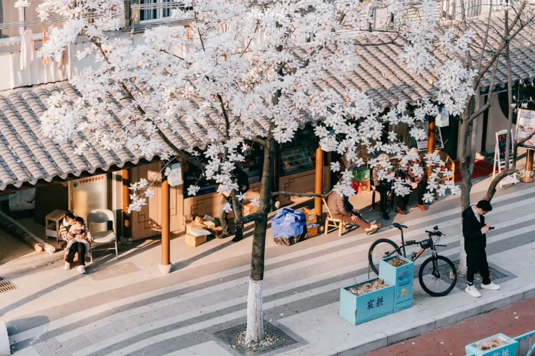 杭州街头低调的老铺子真的太顶了