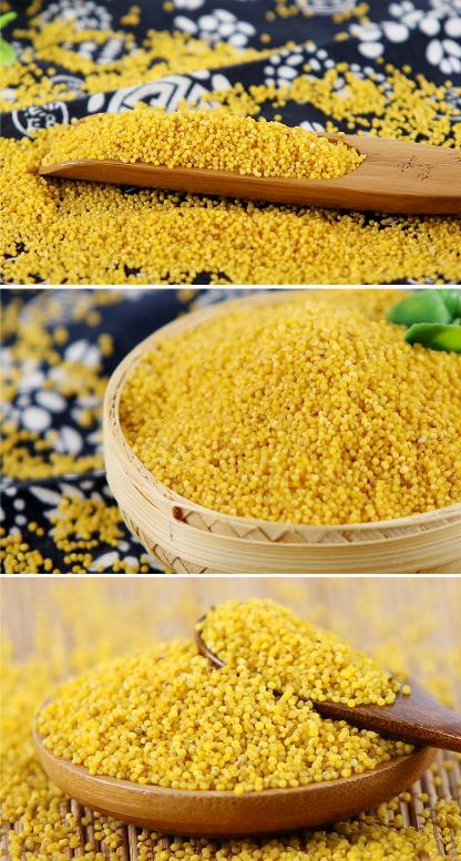 新华社经济随笔|陕北小米的新味道_澎湃号·政务_澎湃新闻-the paper