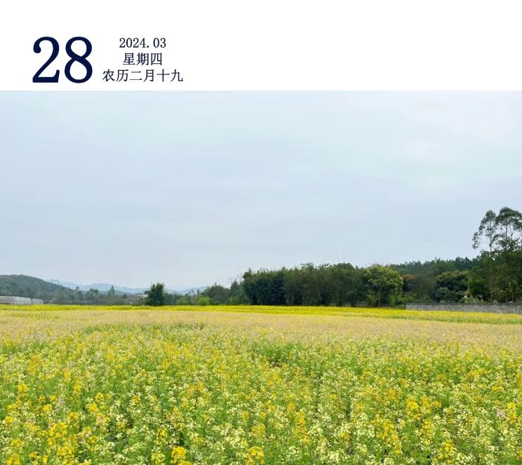 记者昨日从市市政管理中心了解到,此前为确保桥梁安全,在五里亭大桥