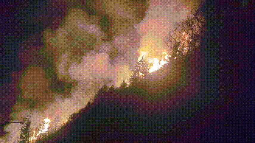 近期山火频发!提醒所有人