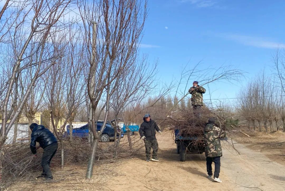 库伦旗:环境整治"春季行动" 开启乡村"美颜模式"_澎湃号·政务_澎湃