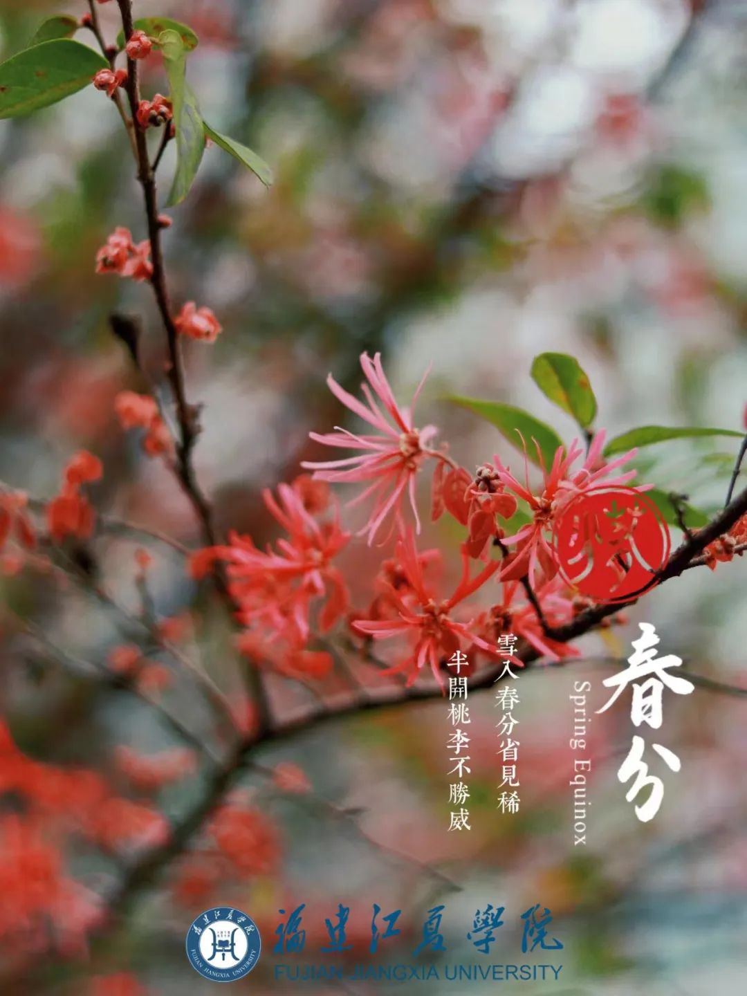 大型比美现场来了……_澎湃号·政务_澎湃新闻-the paper