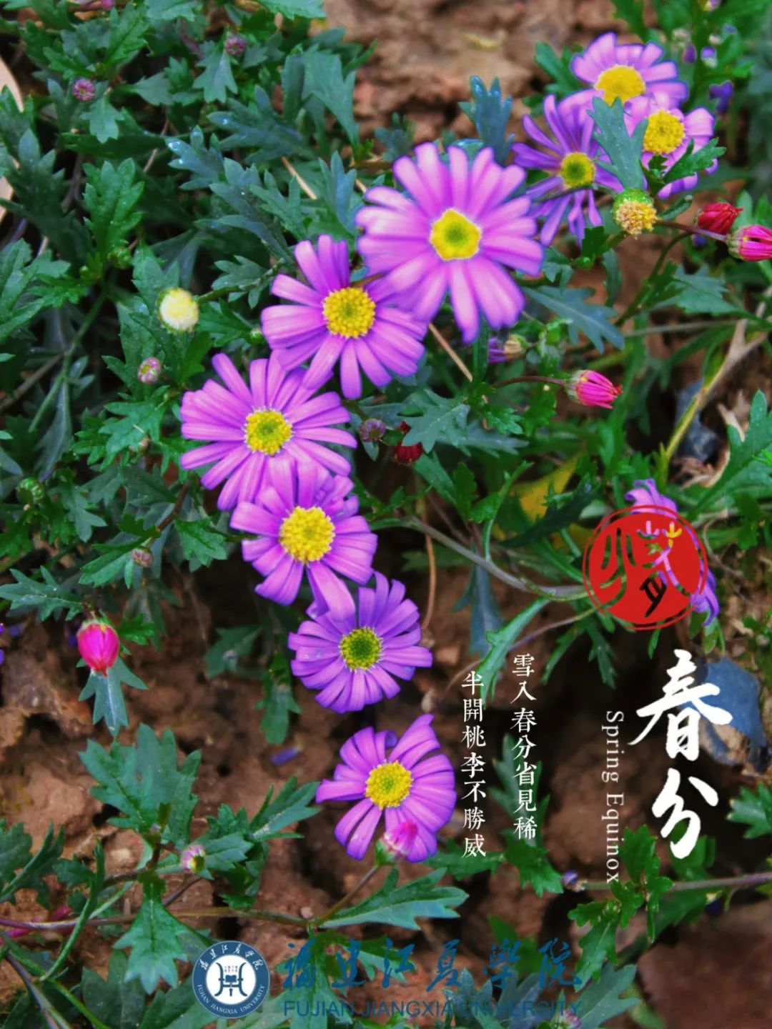 大型比美现场来了……_澎湃号·政务_澎湃新闻-the paper