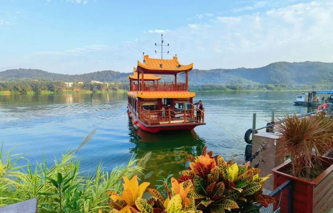 在肇庆感受春天 一起打开春游的正确方式→_澎湃号·政务_澎湃新闻