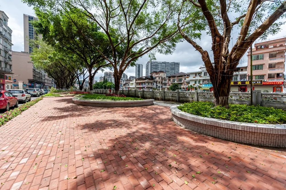 邂逅肇庆这里的绿美"诗画"~_澎湃号·政务_澎湃新闻-the paper