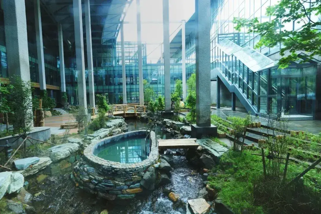 澎湃号·政务_澎湃新闻-the paper