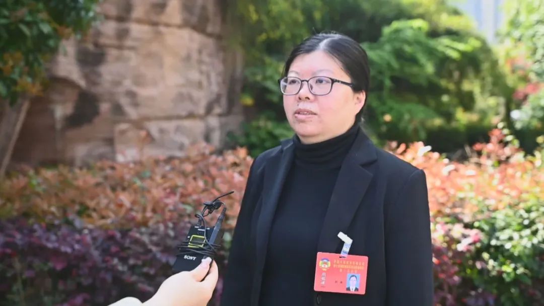 政协委员姜昭娣说,"陈琪书记的讲话和吴廷友县长的工作报告站位高