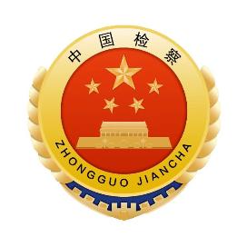 孙琳同志在宝山区九届人大常委会第十九次会议上当选为宝山区检察院