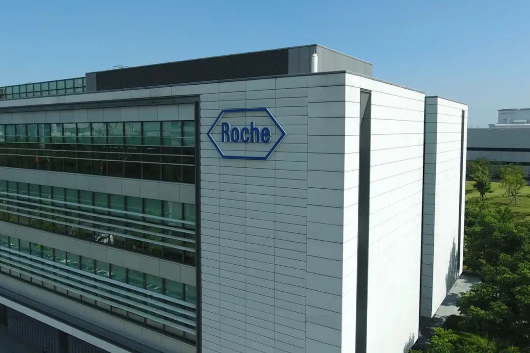 沈觅会见罗氏诊断全球质量法规负责人一行_澎湃号·政务_澎湃新闻-the