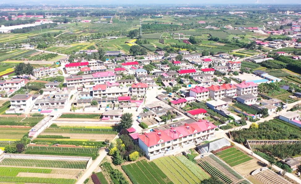 双争进行时丨秦皇岛北戴河新区扎实推进农村精神文明创建工作