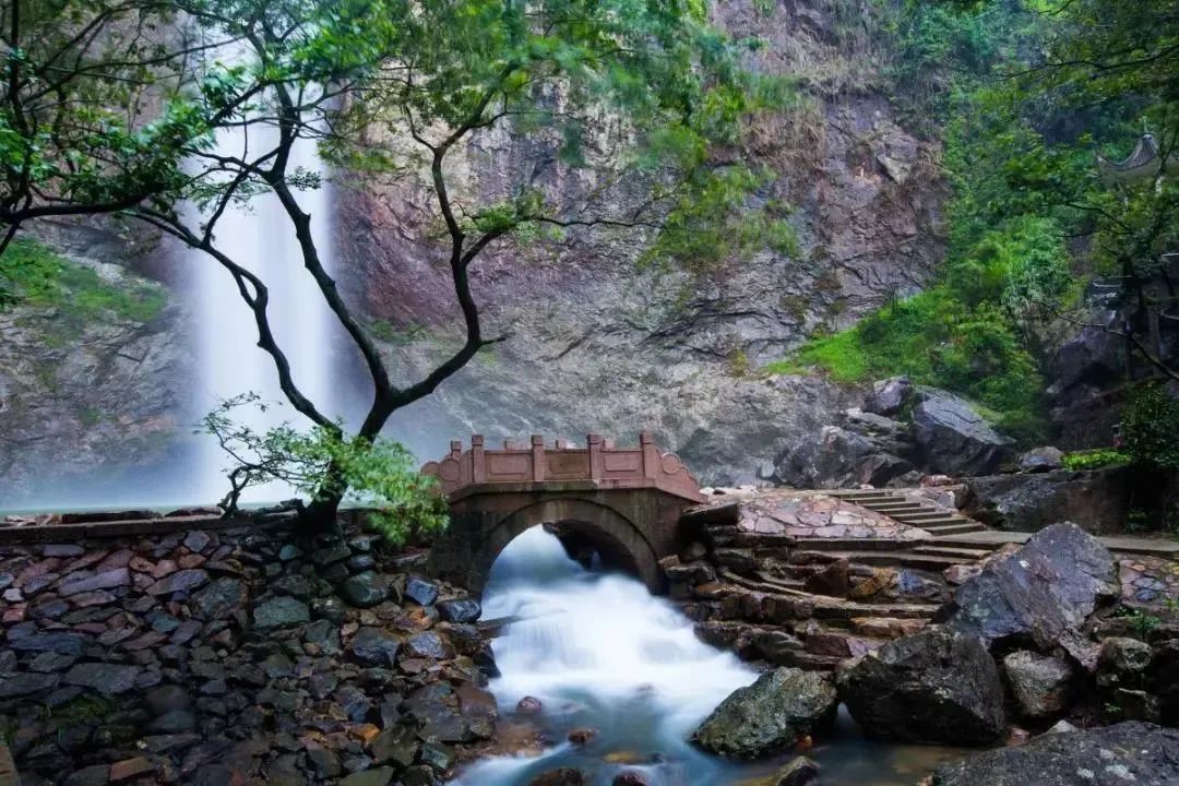 2024丽水马拉松跑者专属福利_澎湃号·政务_澎湃新闻-the paper