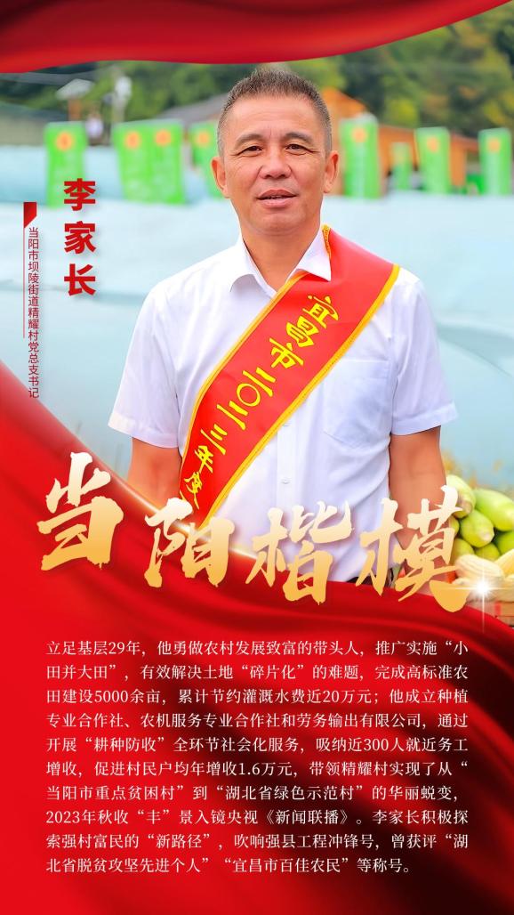 当阳楷模最新名单有你熟悉的名字吗