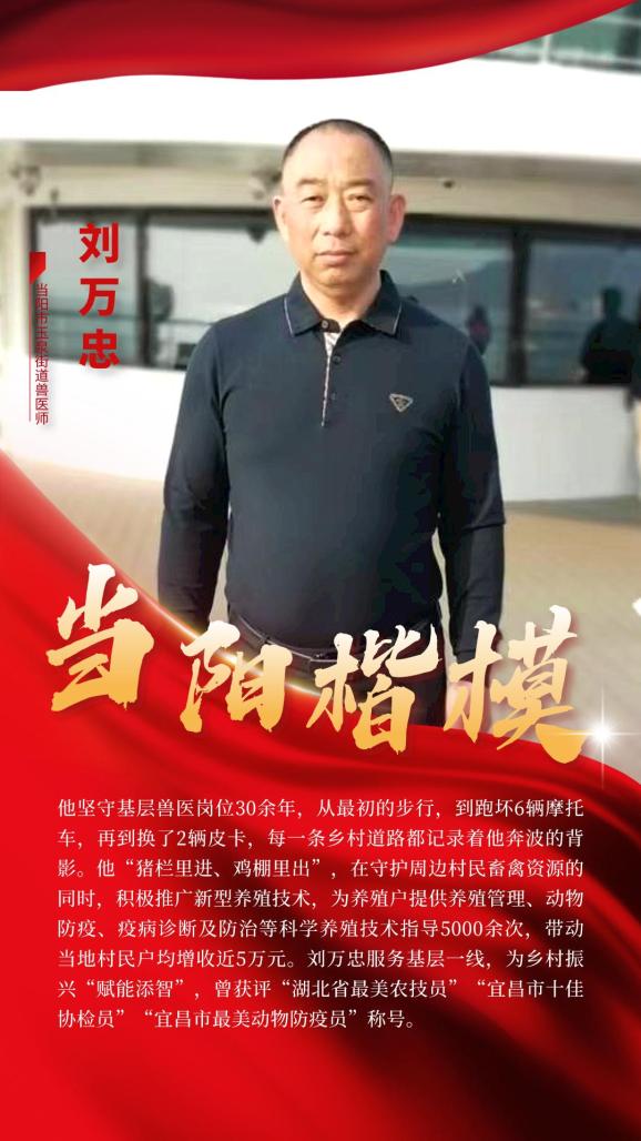 当阳楷模最新名单有你熟悉的名字吗