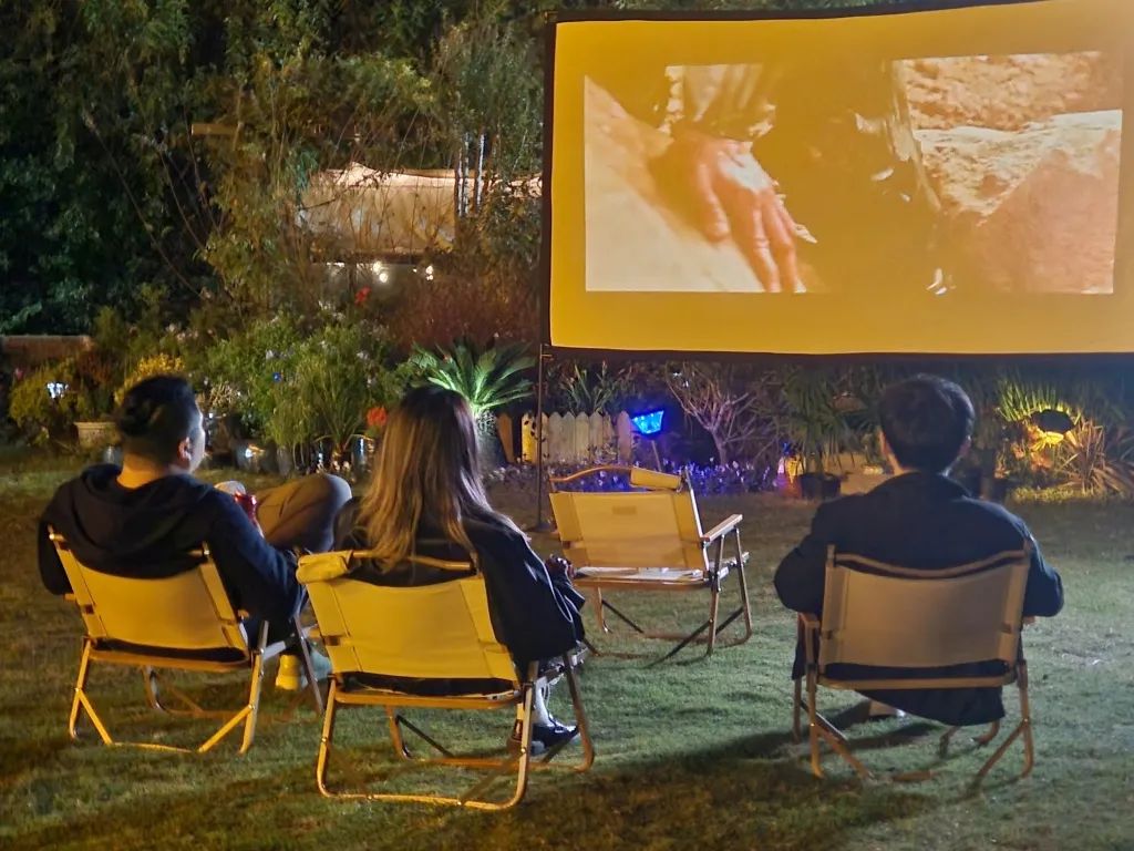 竖新镇大东村1001号的故事