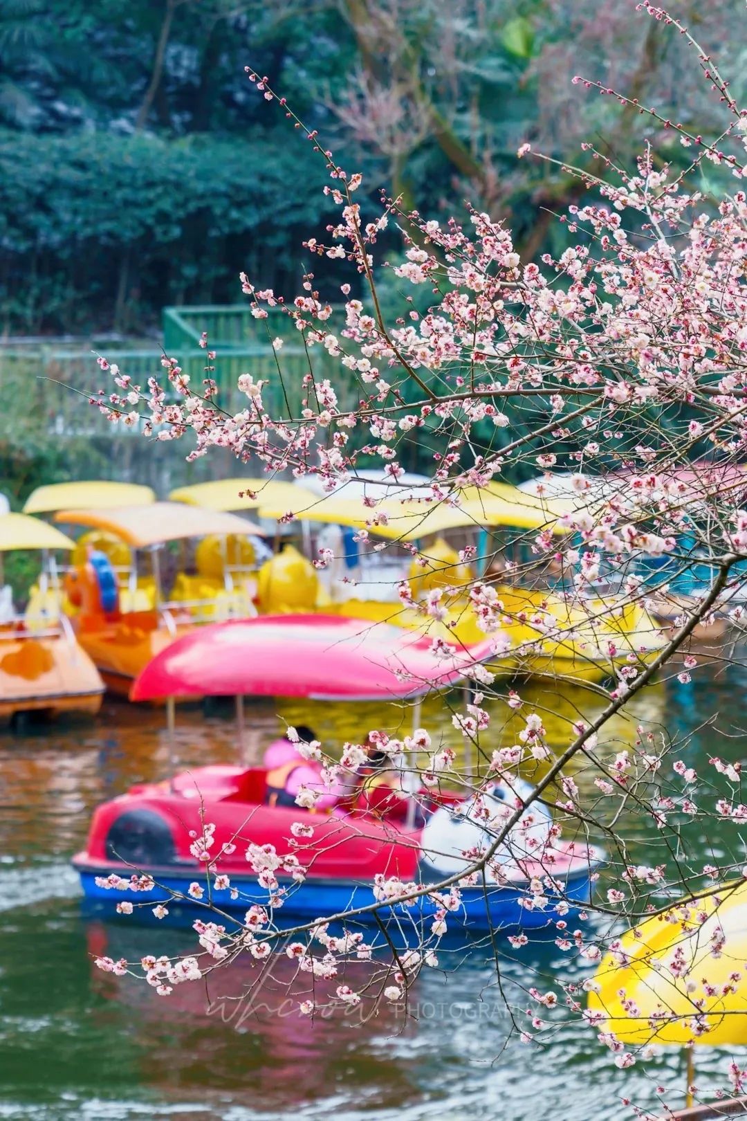 我们长大了,公园还是那个公园,不要门票,想来随时来,它静静的在那里