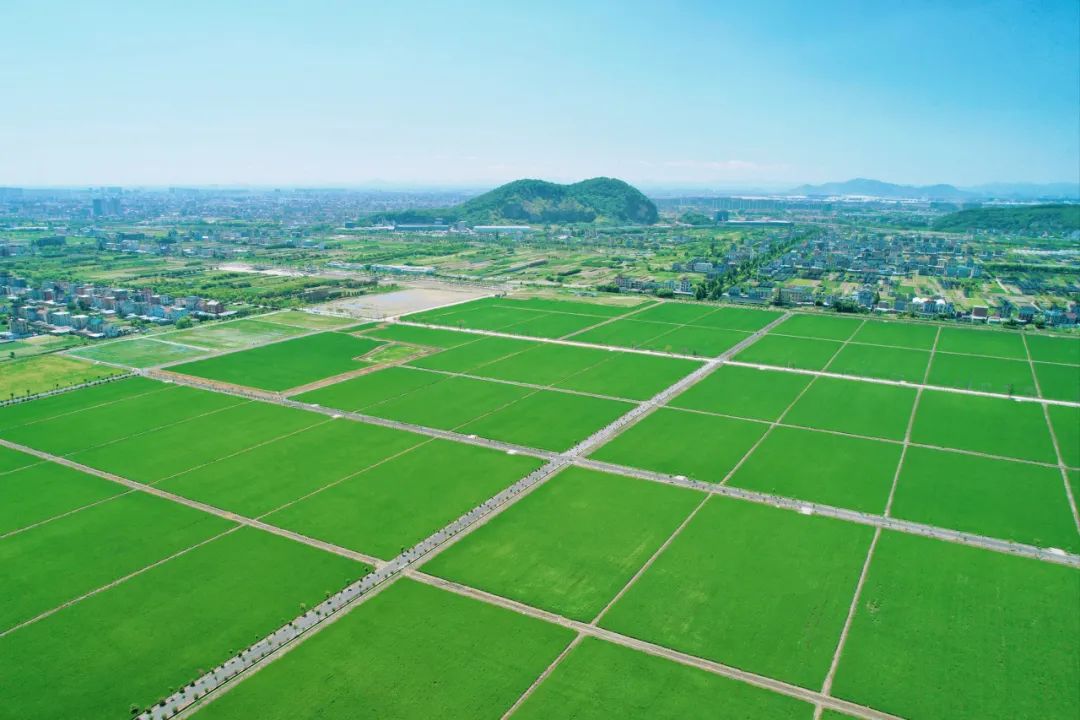 同心最美61窗口钱塘区河庄街道联合联动联创联建打造同心最美窗口