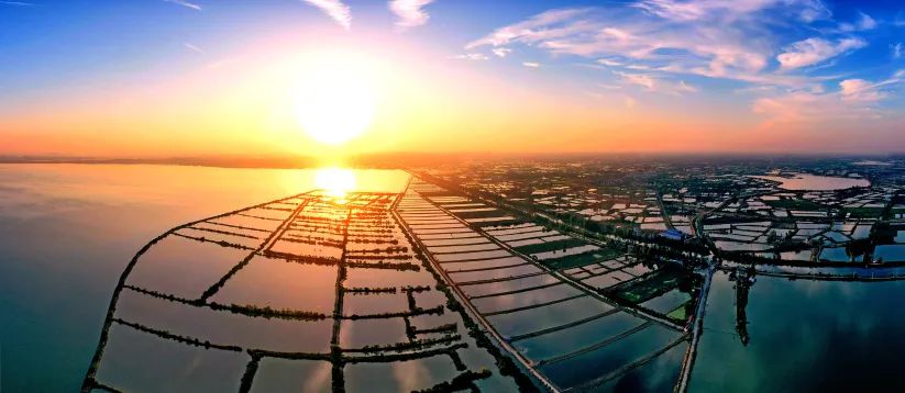 展翅计划新洲区在线揽才岗位丰富好工作触手可及