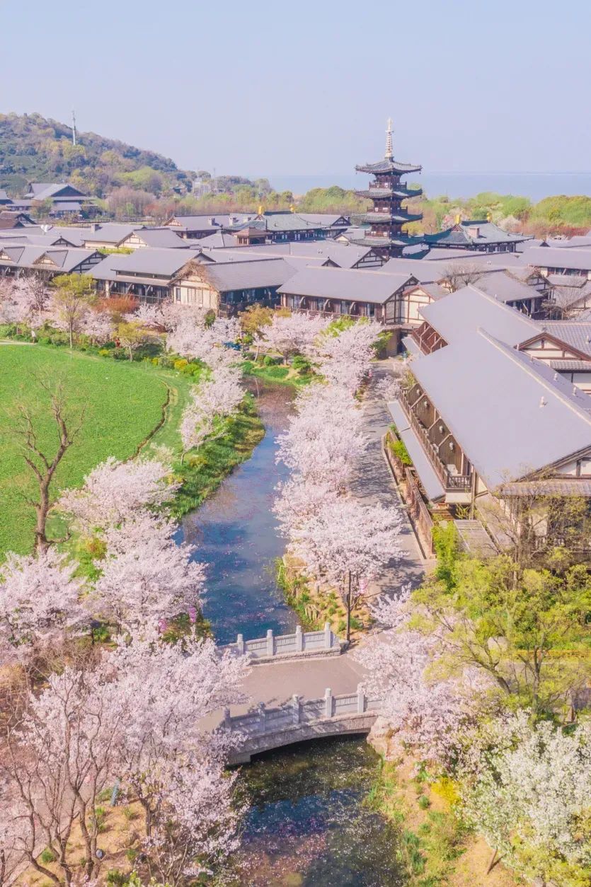 拈花湾获评国家级示范!