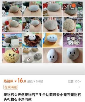 把石头当宠物养年轻人又玩出新花样