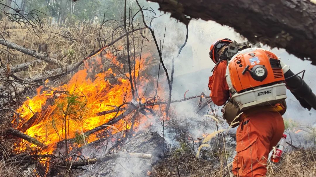云南省森林消防总队圆满完成跨省增援四川森林火灾扑救任务