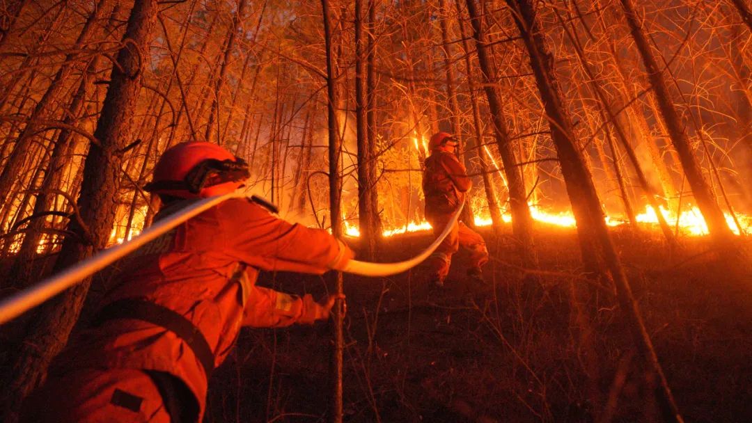 云南省森林消防总队圆满完成跨省增援四川森林火灾扑救任务