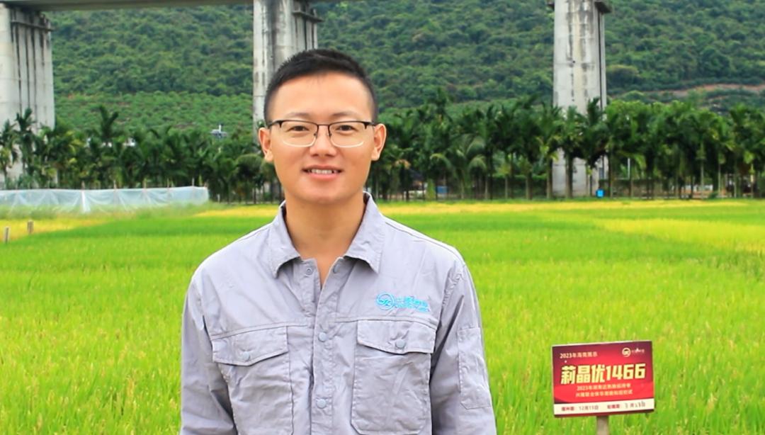 首要目标,一代代南繁人接续努力,完成了我国主要农作物6至7次更新换代