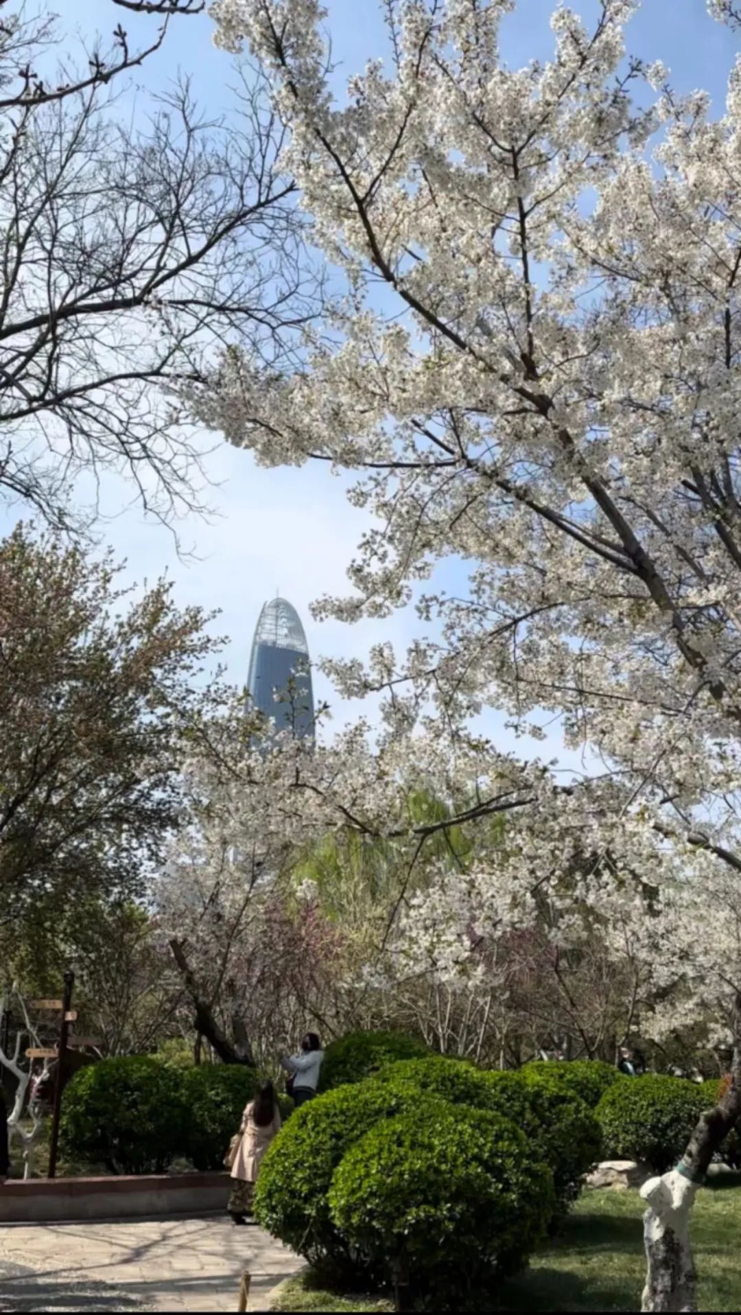 济南花海公园的位置图片