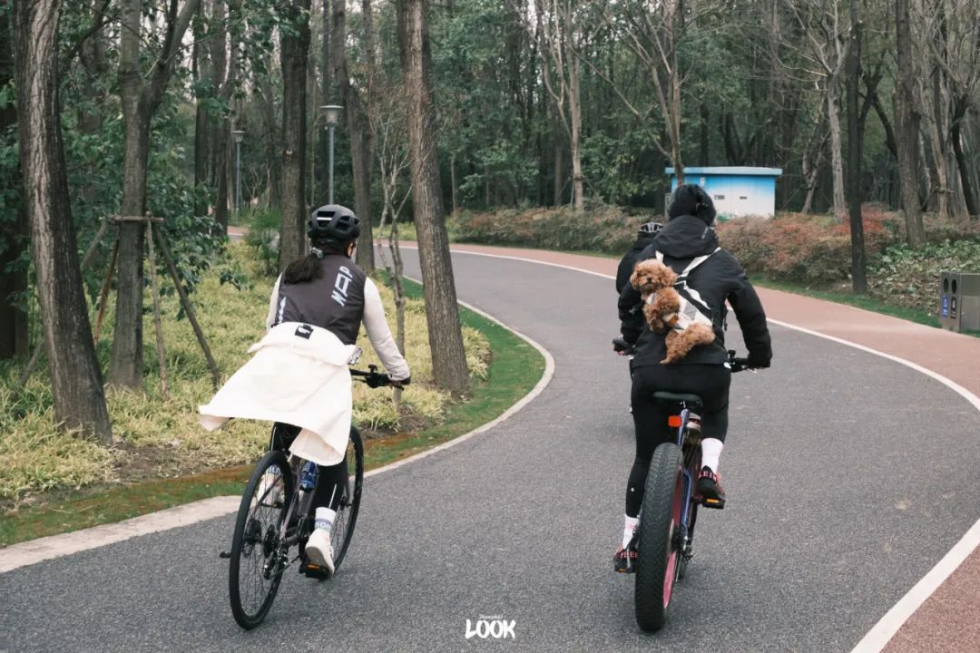 天气这么好,不去骑车可惜了_澎湃号·湃客_澎湃新闻-the paper
