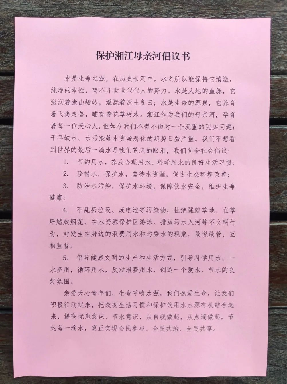 河小青徽章图片