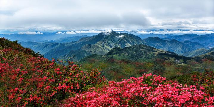 浙江省衢州市衢江区多措并举建好护林员队伍_澎湃号·