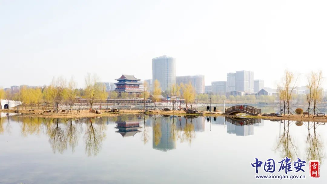 家乡雄安丨雄安这些公园的春日美景藏不住了!
