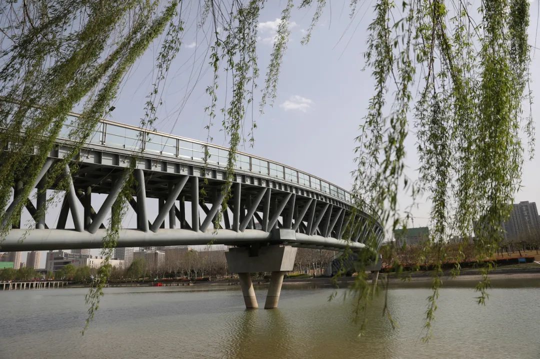 沙滩花花玻璃桥这里的春天藏不住了