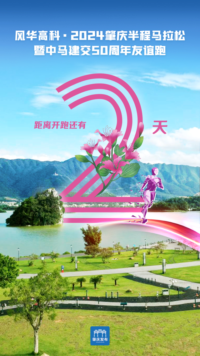 全程直播,ai生成vlog……本周日"肇马"激情开跑!