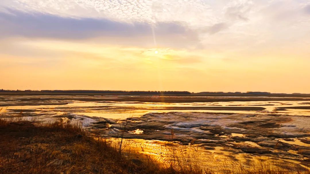 寻美阜新柳河光影组图