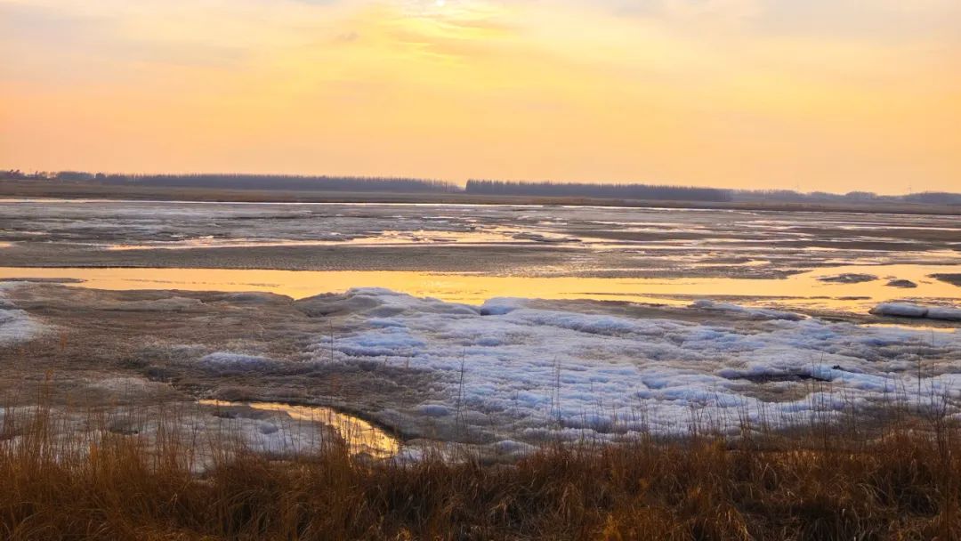 寻美阜新柳河光影组图